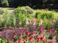 Tal der Blumen