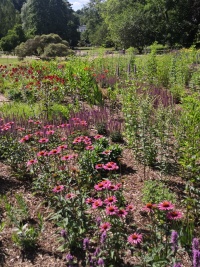 Tal der Blumen