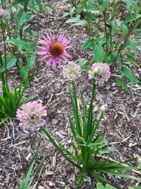 Tal der Blumen