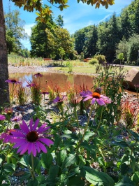 Tal der Blumen Tal der Blumen