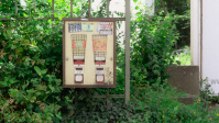 Kaugummiautomat vor einem Gebüsch