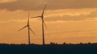Windräder im Sonnenuntergang