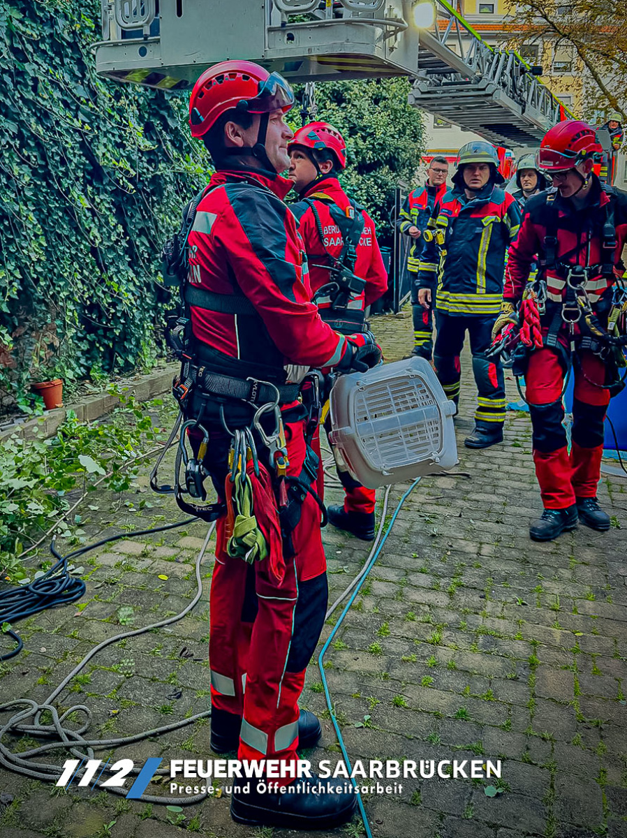 Einsatzbilder - Tierrettung durch die Höhenrettung Einsatzbilder - Tierrettung durch die Höhenrettung