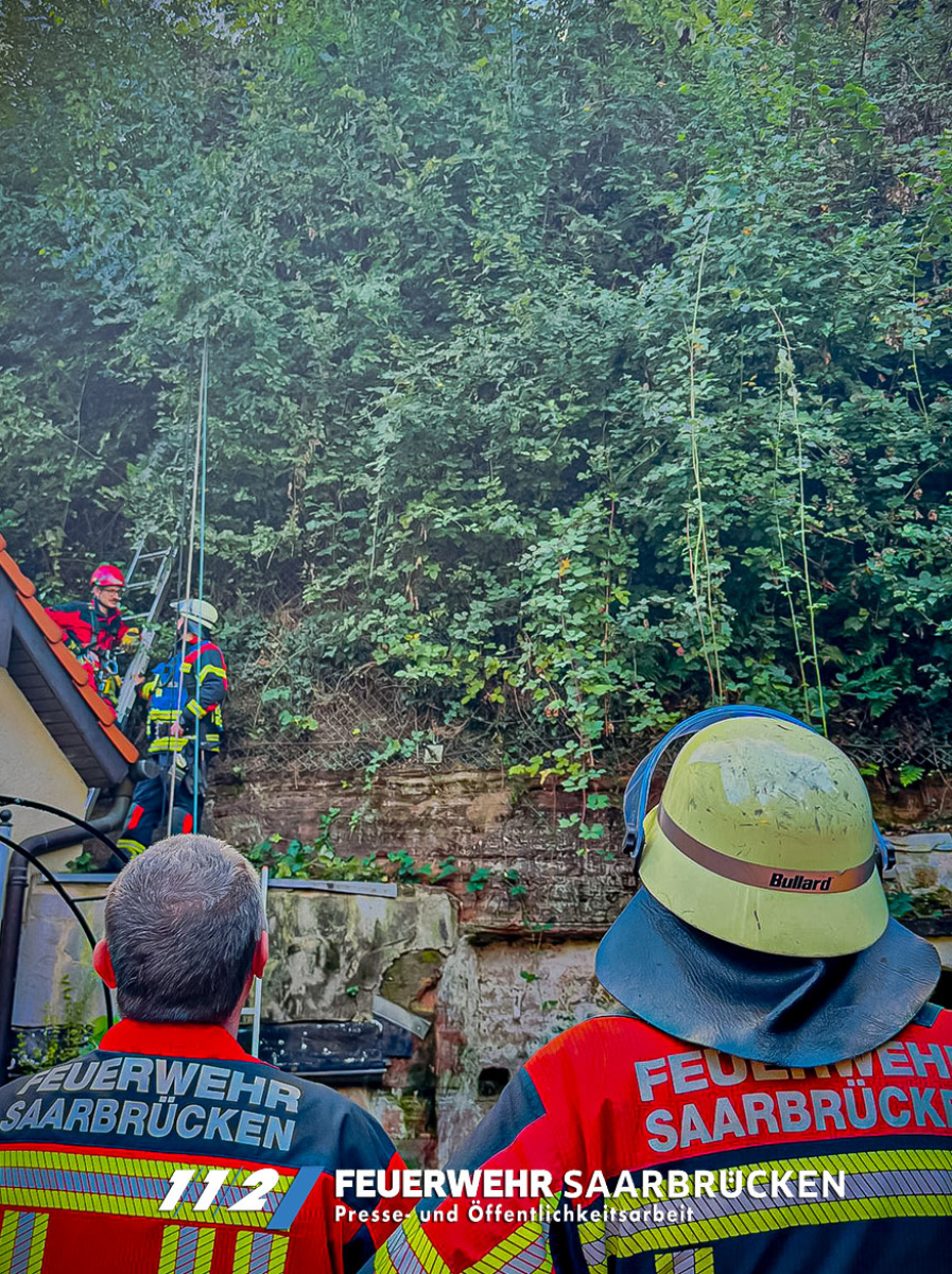 Einsatzbilder - Tierrettung durch die Höhenrettung Einsatzbilder - Tierrettung durch die Höhenrettung