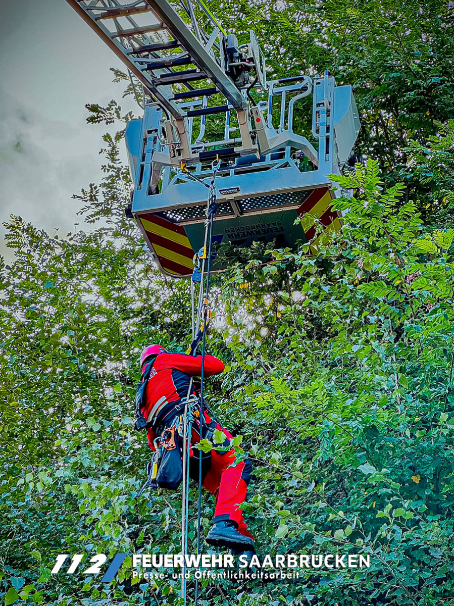 Einsatzbilder - Tierrettung durch die Höhenrettung Einsatzbilder - Tierrettung durch die Höhenrettung