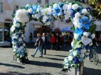 Blumenbogen aus weißen und blauen Blüten