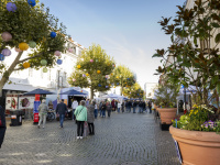 Festlich geschmückte Marktstraße mit bunten Lampions, vorne rechts ein großer Blumentopf mit Pflanze