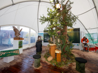 Zelt mit Naturausstellung von Mecklenburg-Vorpommern, Präsentation von Tierpräparaten, Holzskulpturen und Umweltbildung.