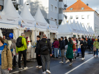 Reihe weißer Informations-Pavillons 