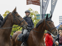 Polizeireiter auf braunen Pferden im Einsatz bei einer Veranstaltung, im Hintergrund Zuschauer.