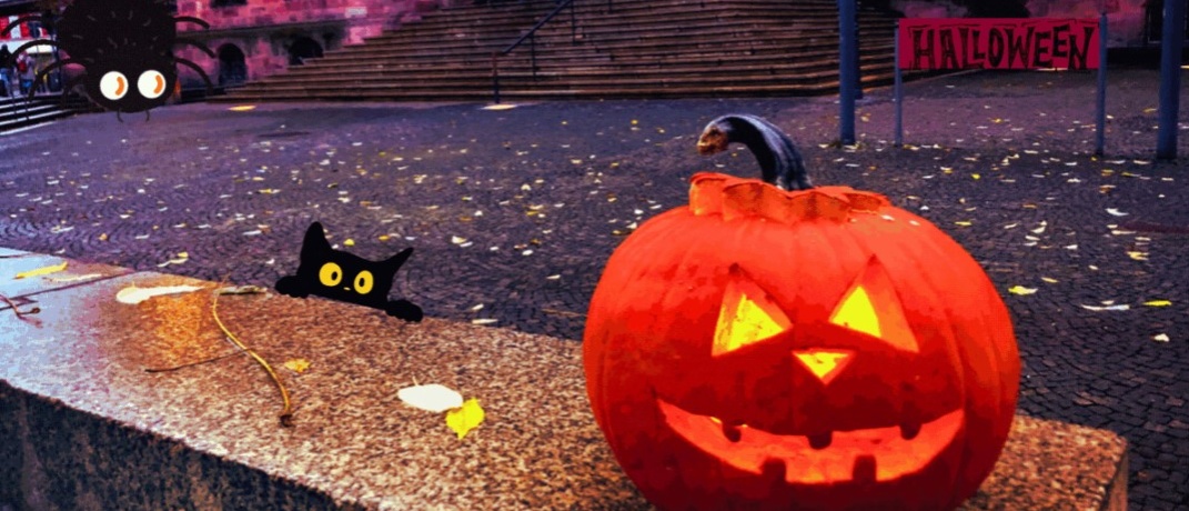 Halloween Rathaus St. Johann Rathaus St. Johann mit einem geschnitzen Kürbis, aufgezeichnet dazu eine süße Katze, Spinne und Fledermaus.