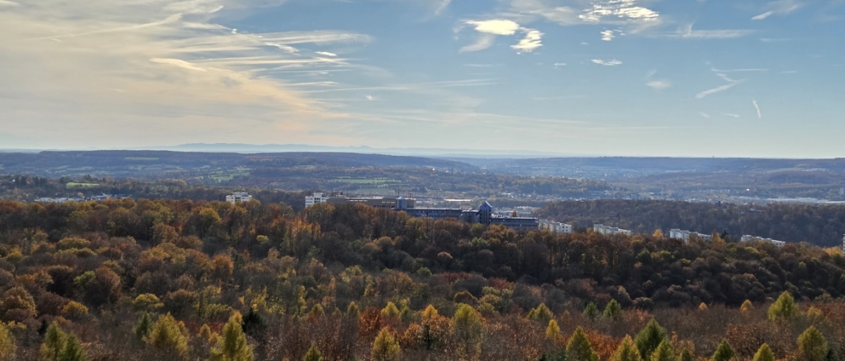 Blick auf den Saarbrücker Stadtwald vom Schwarzenbergturm Man sieht einen weiten Horizont mit blauem Himmel und einem bunten, herbstlichen Wald unten