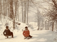 Schlittenfahrer am Rotenbühl.