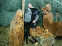 Ein Mann umarmt zwei Alpakas in einer Stallkrippe mit hölzernen Krippenfiguren.