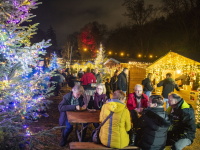 Menschen sitzen zwischen bunt leuchtenden Tannen an Tischen und genießen den Weihnachtsgarten.