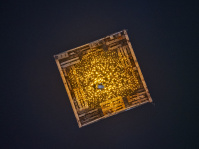 Draufsicht auf eine schwimmende Plattform mit Weihnachtsbaum voller goldener Lichter inmitten des dunklen Wassers.